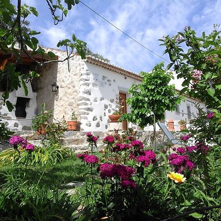 Quinta Do Tempo Turismo Rural Monchique Zewnętrze zdjęcie